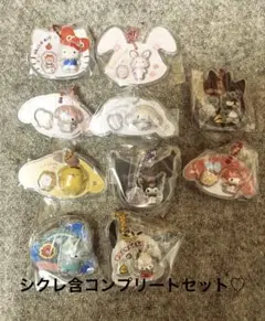 サンリオキャラクターズ　パッケージチャーム