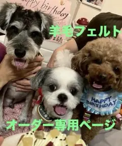 羊毛フェルトオーダー専用ページ