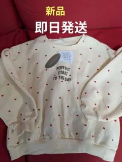 Item thumbnail for item 16f840de-e608-41f9-a45a-5f43a9d70969