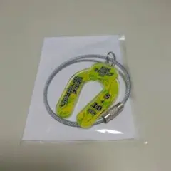 ウェルカムチャンス　GⅠアクリルキーホルダー　NHKマイルカップ