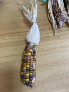 ♡h*gracefully♡様 リクエスト 2点 まとめ商品