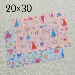 ランチョンマット 20×30 2枚セット プリンセス柄　お姫様　女の子用　女児