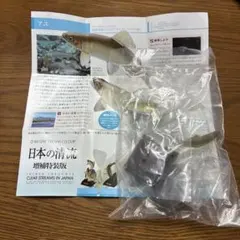 ネイチャーテクニカラー　日本の清流　増補特装版　アユ
