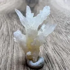 ゆたか様 リクエスト 2点 まとめ商品