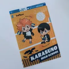 【非売品】爽 × ハイキュー!! 目指せ！爽快の頂へ 限定 A4クリアファイル