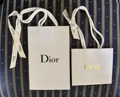 Dior ショップ袋 大小セット