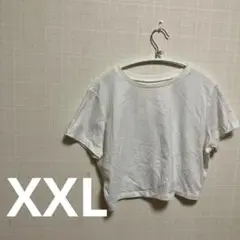 ホワイト クロップド丈 Tシャツ 半袖 ミニT 白 無地 夏 【XXL】