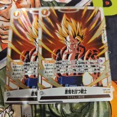 悪鬼を討つ戦士　FB09-096 SR2枚セット