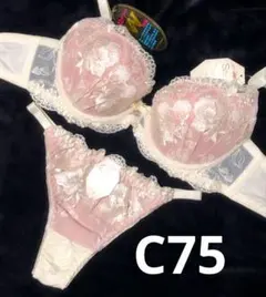 C75 豪華　エレガンスフラワー　Tバック　ブラショーツセット 綺麗　セクシー