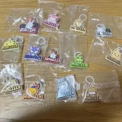 MINITEEN めじるしアクセサリー　全13種コンプリートセット