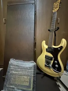 2025年最新】モズライト ハードケースの人気アイテム - メルカリ