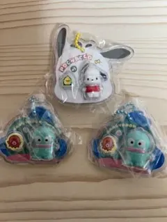 サンリオキャラクターズ　パッケージチャーム　ハンギョドン　ポチャッコ