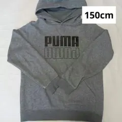 グレー 150 PUMA プーマ トレーナー 長袖　パーカー　秋冬 スウェット