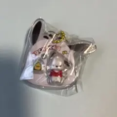 サンリオキャラクターズ パッケージチャーム & チョコボーロ ポチャッコ