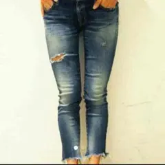 フレイドヘムストスリ