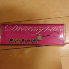 嵐コンサートグッズ