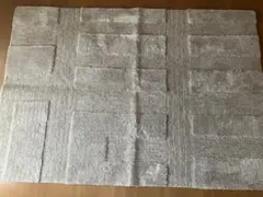 ジャーナルスタンダードHigh lowタフトラグ