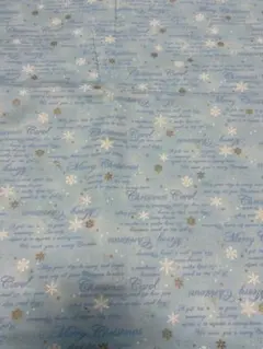 Item thumbnail for item 10d2adf7-47ba-4d7b-9554-4fb77c222b32