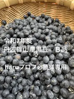 7年度愛知県産 黒米 10Kg 7年度愛知県産 黒米 10Kg 【公式通販】