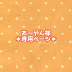 ＊専用ページ＊