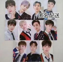 SEVENTEEN POWER OF LOVE DVD 公式トレカセット コンプ