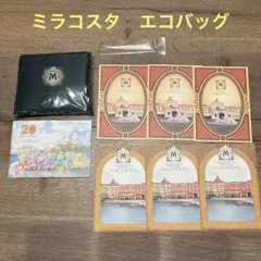 【新品未使用】東京ディズニーリゾート ミラコスタ　ポストカード 9枚　エコバッグ