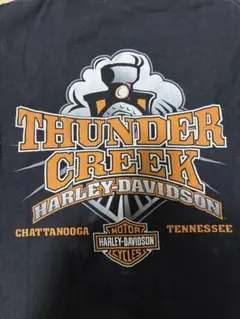ハーレーTシャツヘインズボディーSサイズのサムネイル