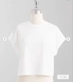 ENFOLD PIN-TUCK T-SHIRT ピンタック　新品未使用 新品・紙タグ付】ENFOLDのPIN-TUCK T-SHIRT/Wh - メルカリ
