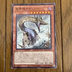 2025年最新】ネッシー 遊戯王の人気アイテム - メルカリ