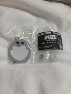 riize シャカシャカアクリルチャーム アイドル