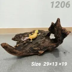 W72アク抜き済み流木 爬虫類シェルター 登り木 インテリア 生け花