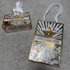 CHRISTIAN DIOR ギフトバッグ 大