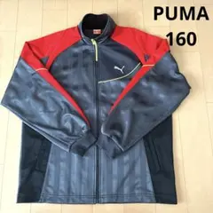 PUMA ジャージ上　160