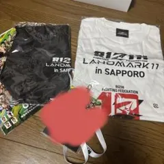 RIZIN札幌真駒内アイスアリーナVIP席専用グッズ パスポートはありません