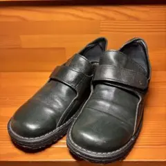 Item thumbnail for item 662464fb-2f93-4dd4-affe-39a36504ff40