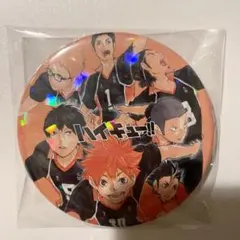 ハイキュー コレクション缶バッジ コレ缶 烏野 4弾