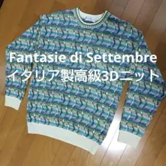 希少 定価3万 Fantasie di Settembre イタリア製高級ニット