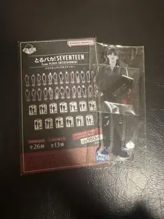 SEVENTEEN とるパカ エスクプス アクスタ