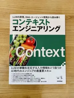 【美品・帯付】コンテキストエンジニアリング 定価3300円