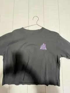 SANTA CRUZ 半袖Tシャツ ブラック ロゴプリント