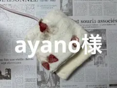 デグーお布団…1.10.13