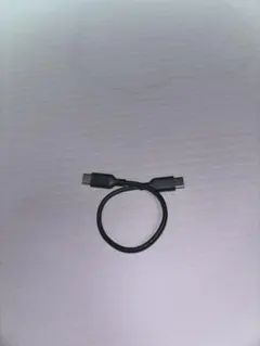 USB-C to USB-C充電ケーブル 10cm 0.1ｍ
