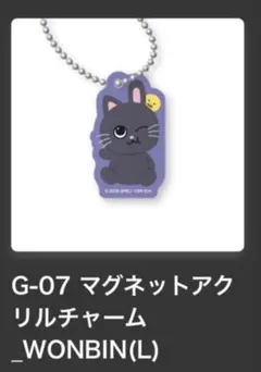 riize ウォンビン　ランダムトイ