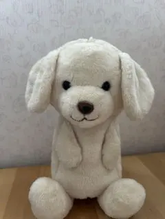 専用