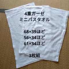 Item thumbnail for item 2970bcca-3b0c-4b8a-80c6-257e1e6bcd07