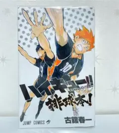 ハイキュー!! コンプリートガイドブック 排球本!