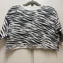 WEGO ゼブラ柄 半袖クロップドTシャツ Fサイズ