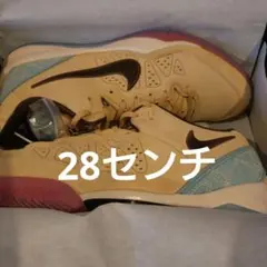 コービー8プロトロ Siempre Mio シューズ 28.5 US10.5 - メルカリ