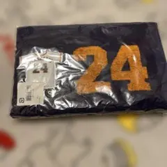 Item thumbnail for item 9a6219f8-2f68-4db9-bf93-e16417893612