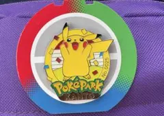 ポケパークカントー　ピンズ　イーブイ　新品未使用 ピンバッチ ポケパークカントー ピンズ イーブイ ポケモン ピンバッジ｜Yahoo